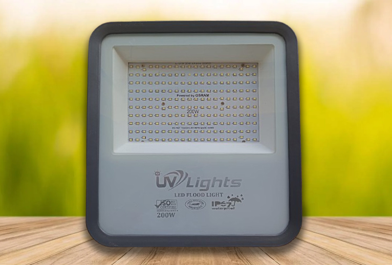 LED Flood Light
