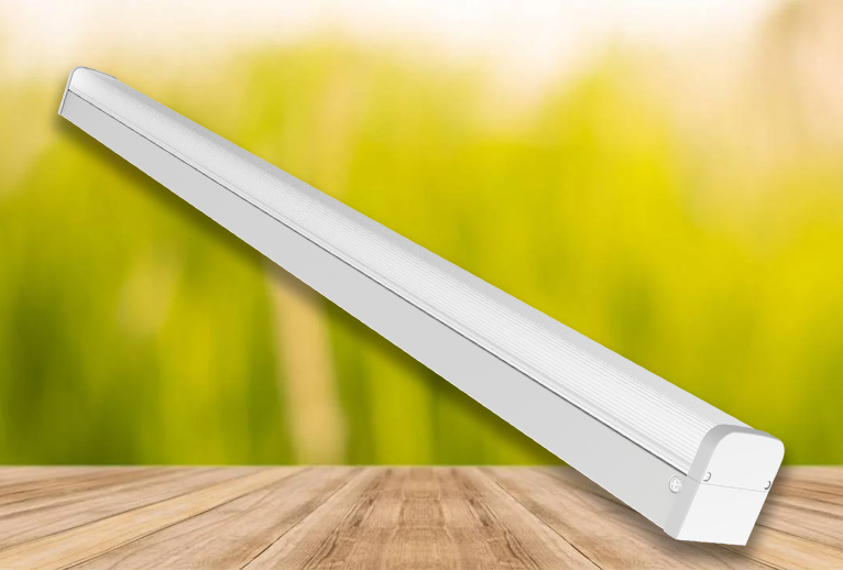 LED Batten Light
